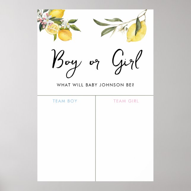 Lemon Garden Girl or Boy Baby Gender Voting Sign (Front)