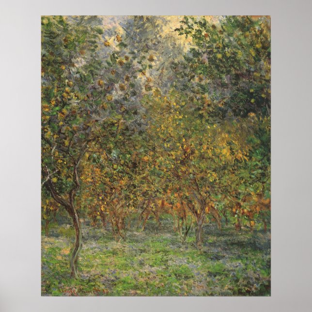 Lemon Grove in Bordighera by Claude Monet Poster (Front)