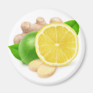 Lemon, lime and ginger magnet