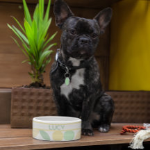 Lemon/Lime Citrus Retro Dog/Cat Bowl