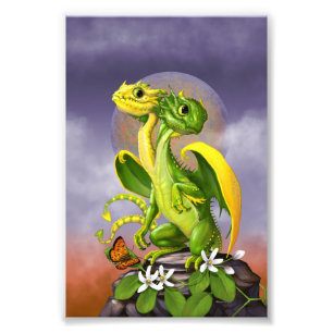 Lemon Lime Dragon 4x6 Print