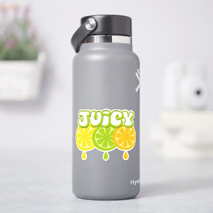 Lemon Lime Orange Fruit Vinyl Sticker