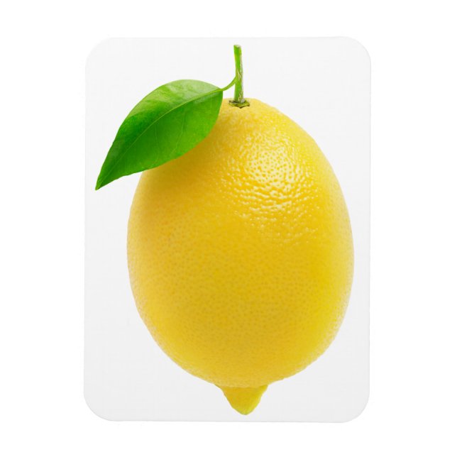 Lemon Magnet (Vertical)