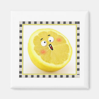 lemon magnet