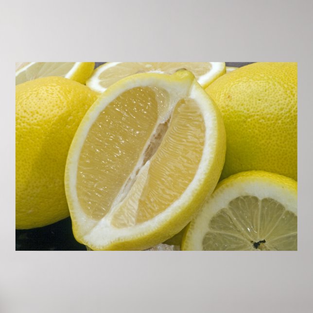 Lemon Picture Poster (Front)