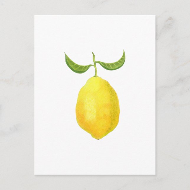 Lemon Postcard (Front)