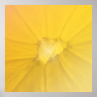 Lemon Section Poster