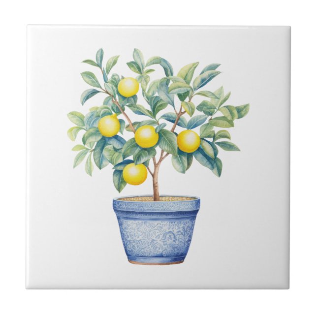 Lemon Tree Mediterranean Tuscany Tile (Front)