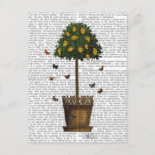 Lemon Tree Postcard