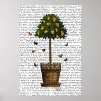 Lemon Tree