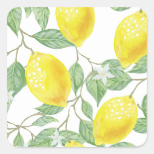 Lemon Tree Square Sticker