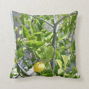 Lemon Tree very beautiful on this pillow! Cushion