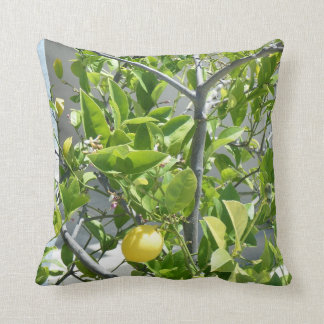 Lemon Tree very beautiful on this pillow! Cushion