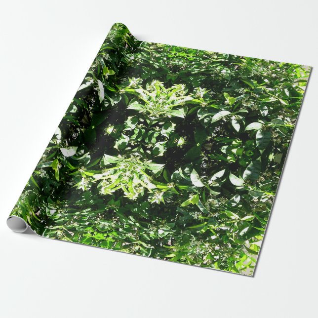 Lemon Tree Wrapping Paper (Unrolled)