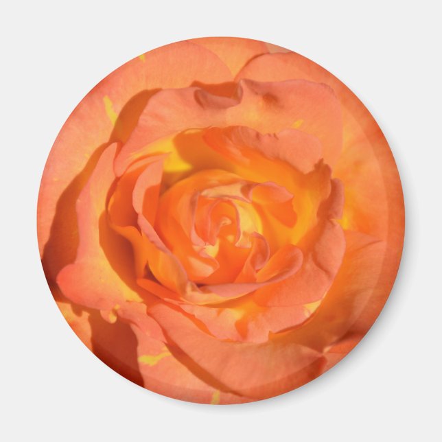 Lemons and Oranges Rose Magnet (Front)