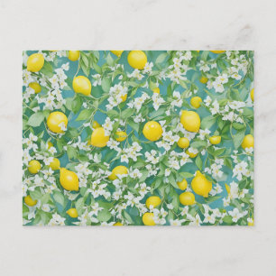 Lemons and White Flowers Postcard