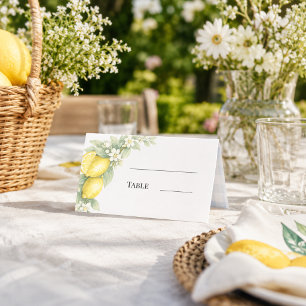 Lemons citrus blue gingham garden party place card