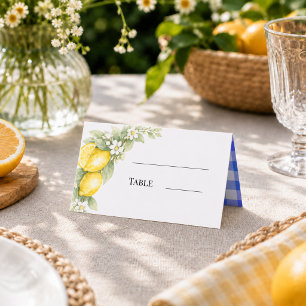 Lemons citrus blue gingham garden party place card