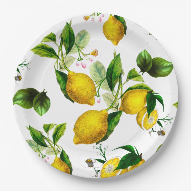 Lemons,citrus,mediterranean art    paper plate (Front)