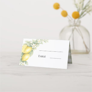 Lemons citrus sage green gingham place card