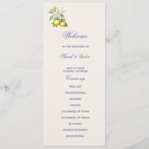 Lemons Double Sided Flat Program Programme