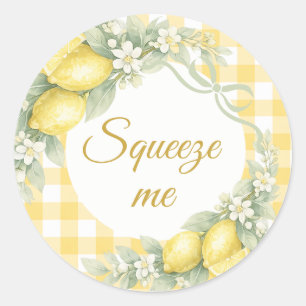 Lemons gingham squeeze me party favor classic round sticker
