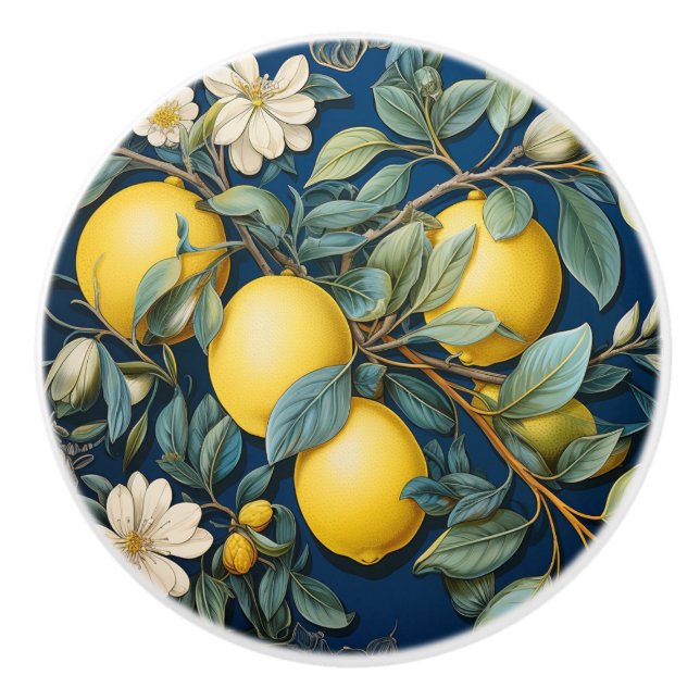 Lemons Mediterranean Summer Citrus Ceramic Knob (Front)