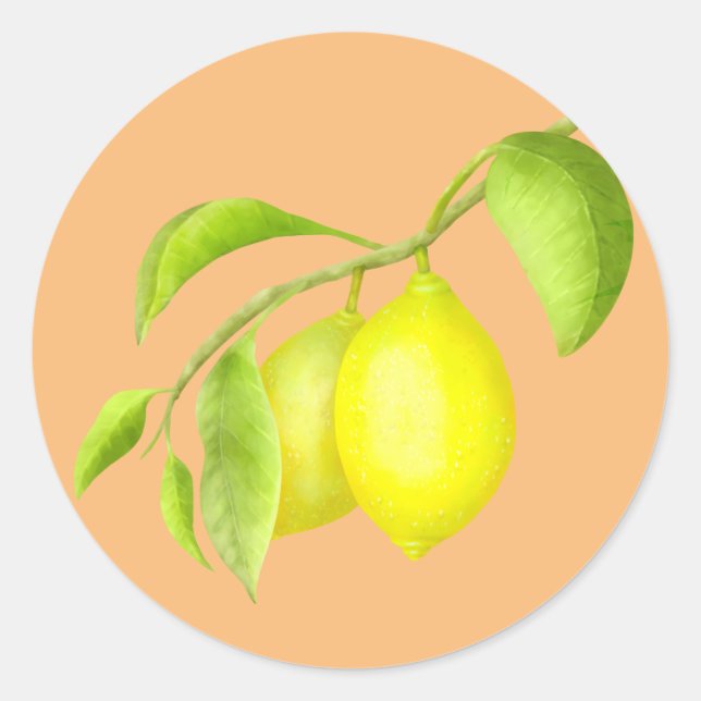 Lemons on a branch classic round sticker (Front)