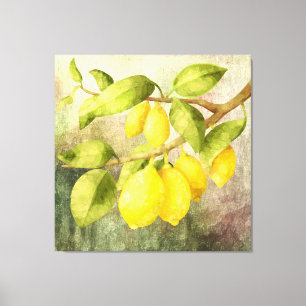 Lemons Painting  Canvas Print