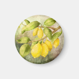 Lemons Painting Magnet