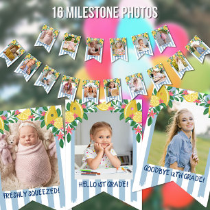 Lemons Stripes Freshly Graduated Milestone Photos Bunting
