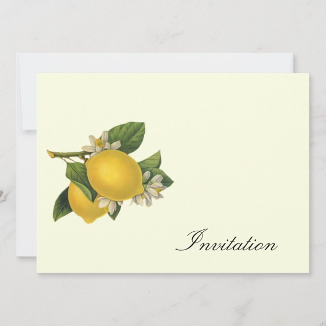 Lemons  - Vintage Invites (Front)