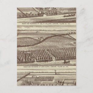 Lemoore, Armona ranches Postcard