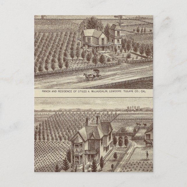 Lemoore, Armona ranches Postcard (Front)