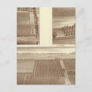 Lemoore ranches postcard