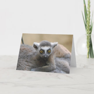 Lemur Baby Greeting Card