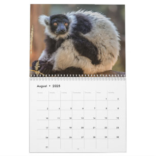 Lemur Calendar 2026