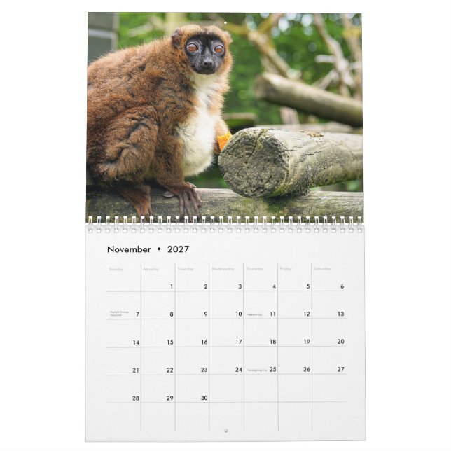 Lemur Calendar 2027 (Nov 2027)