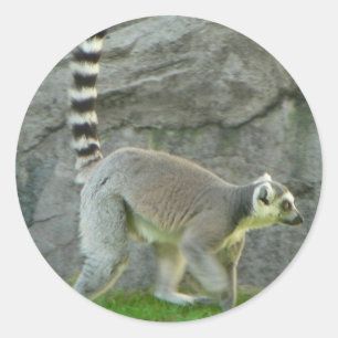 Lemur Classic Round Sticker