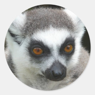 Lemur Classic Round Sticker