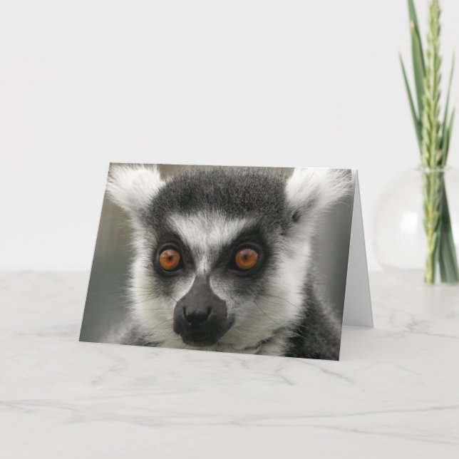 Lemur Face  Greeting Card (Front)