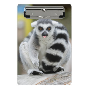 Lemur Full of Personality Mini Clipboard