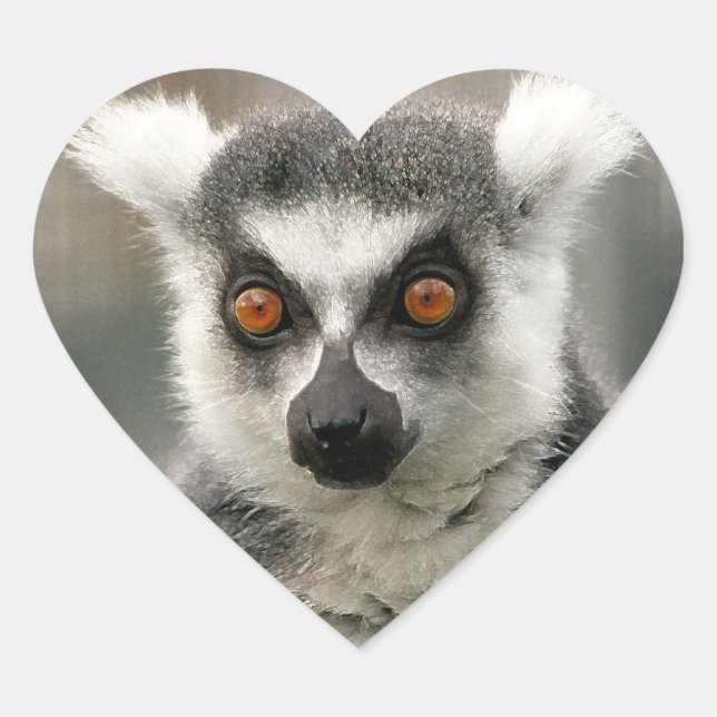 Lemur Heart Sticker (Front)