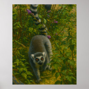 Lemur in Bloom – Ring-Tailed Explorer Poster
