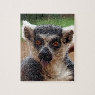 Lemur Jigsaw Puzzle