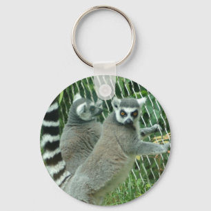 Lemur Keychain