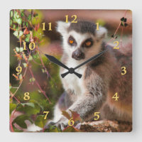 LEMUR LEISURE
