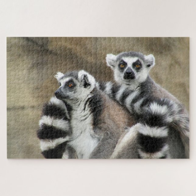 lemur looks jigsaw puzzle (Horizontal)