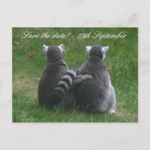 Lemur love! ... Save the date! Announcement Postcard