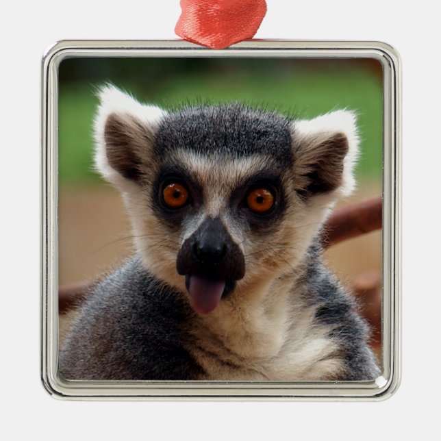 Lemur Metal Tree Decoration (Front)